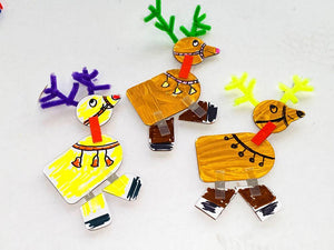 STEM Show episode 11 - The Reindeer Training Camp